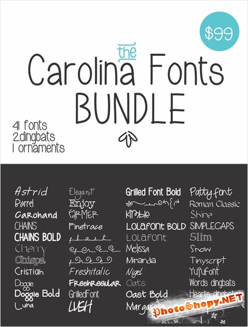 The Carolina Fonts Bundle - Creativemarket 170070