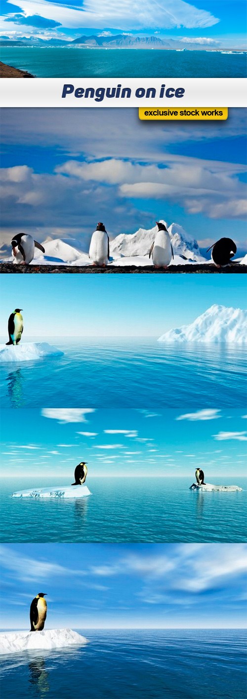 Penguin on ice - 5 UHQ JPEG 