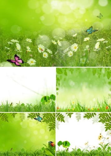Бабочки в траве
