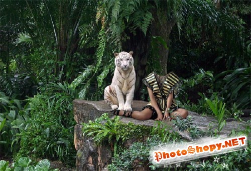 PSD шаблон для девушек - Рядом с белым тигром