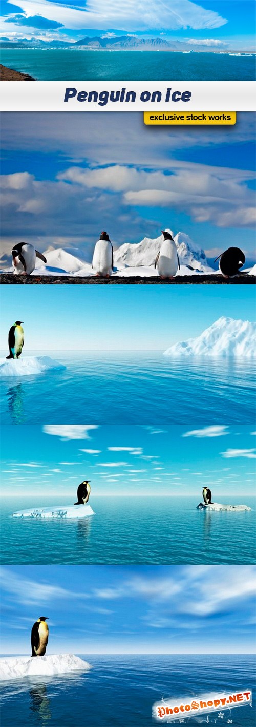 Penguin on ice - 5 UHQ JPEG 