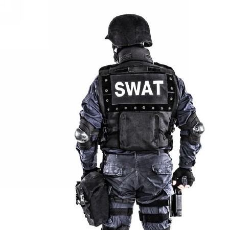 SWAT Collection - 25 HQ Images