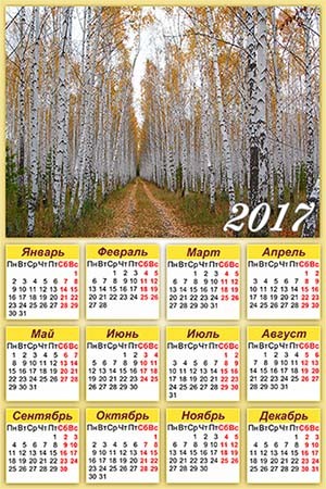 Настенный календарь на 2017 год - Осенняя березовая роща