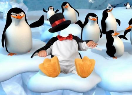 Шаблон для монтажа - Пингвиненок с друзьями