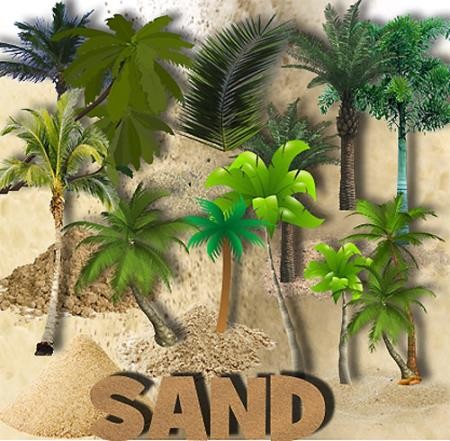 Клипарты для фотошопа - Пальмы и песок
