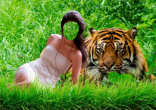 Шаблон psd для фотошопа - Девушка с тигром