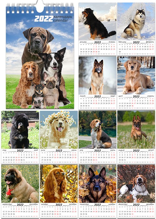 Перекидной календарь на пружине на 2022 год - Породы собак